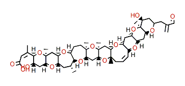 open A-ring Brevetoxin 2